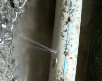 陈巴尔虎卫生间测漏水多少钱